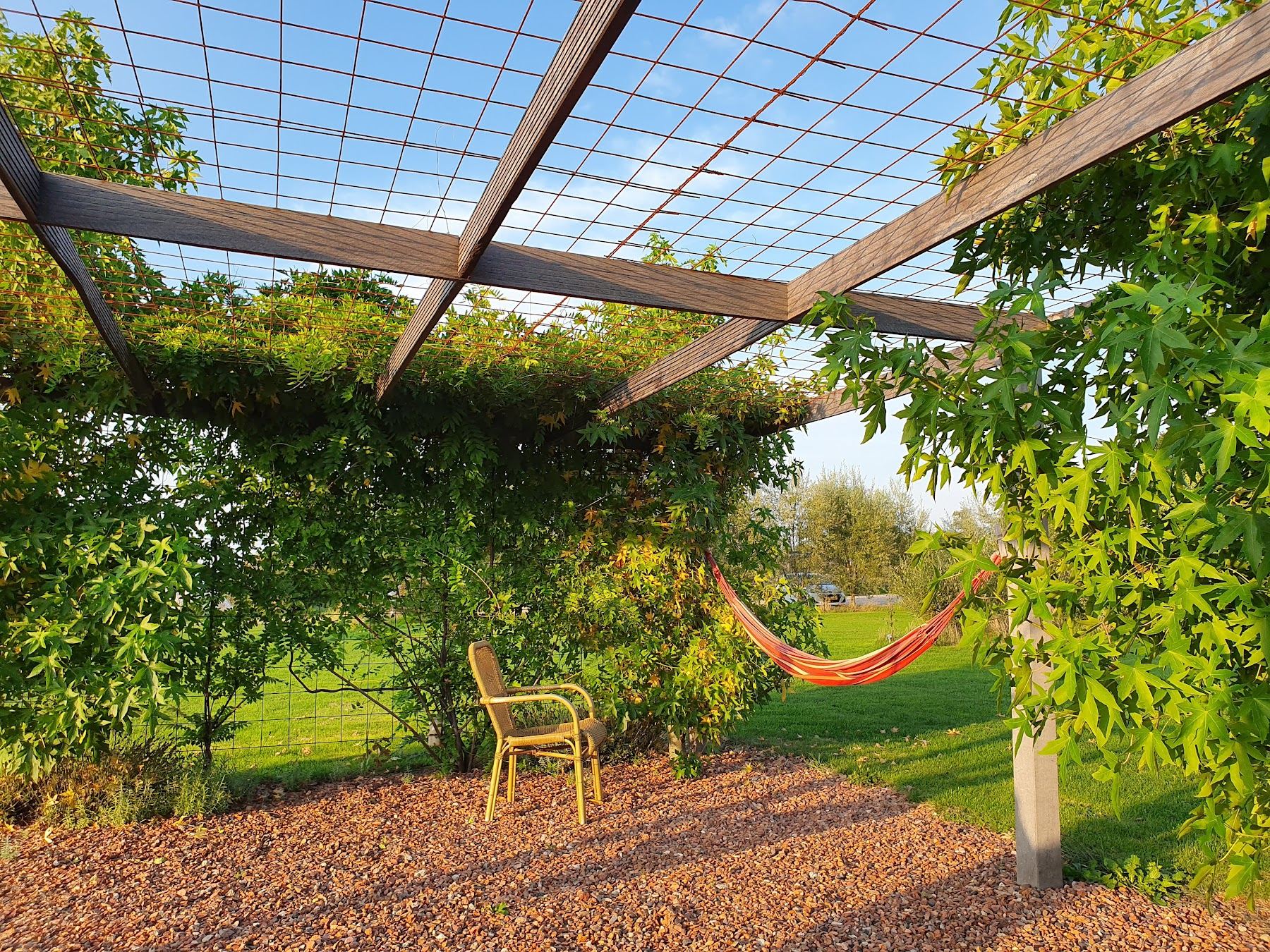 Hangmat in de avondzon