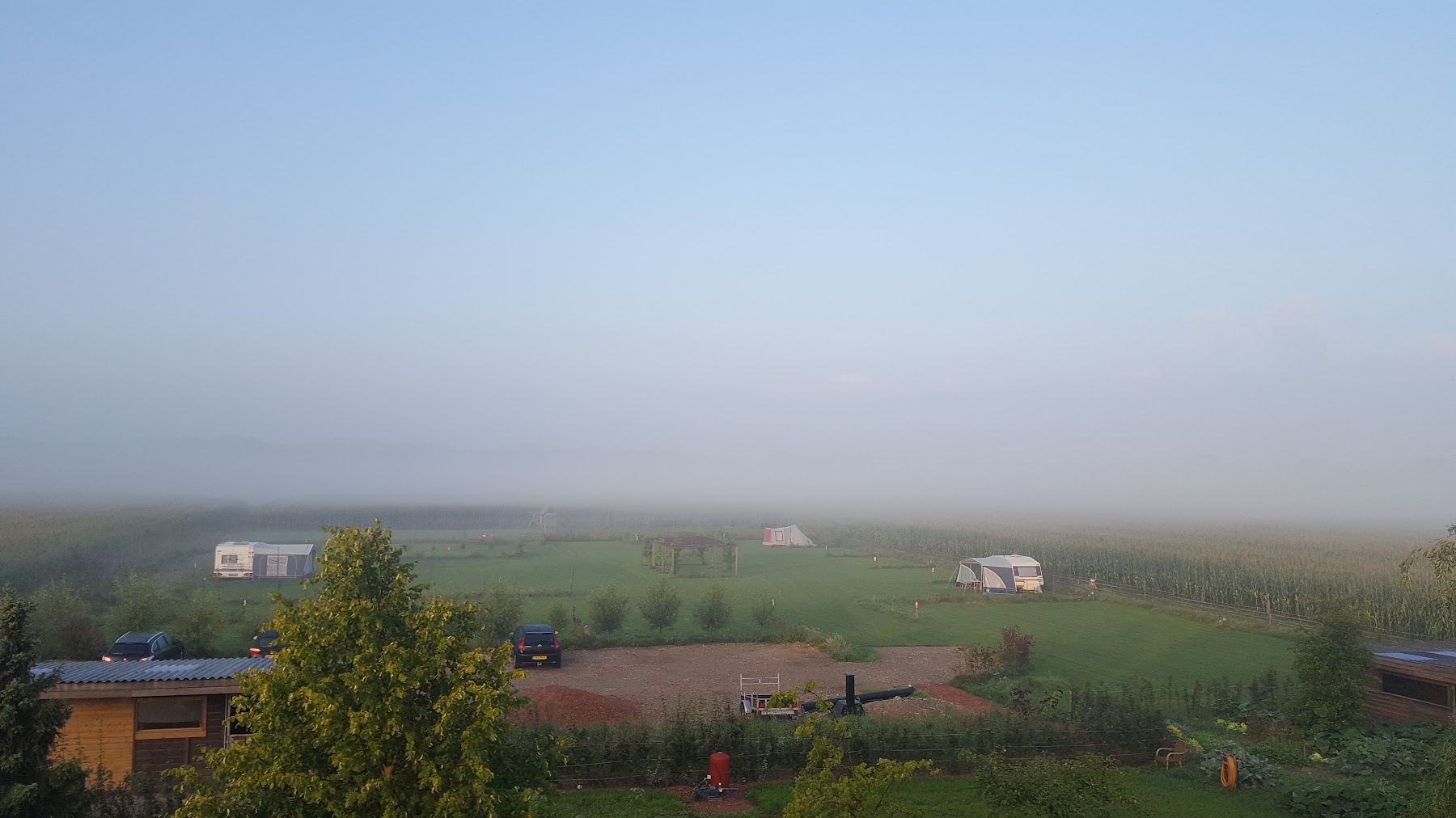 Ochtendmist over het veld