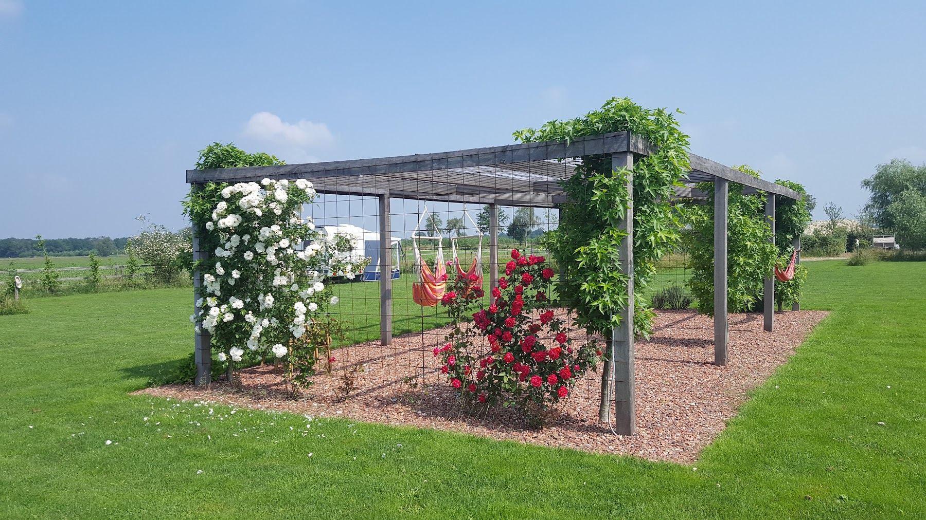 Het veld met de rozenpergola