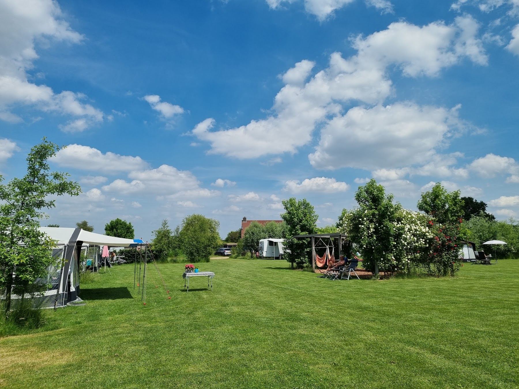 Open plekken op het veld