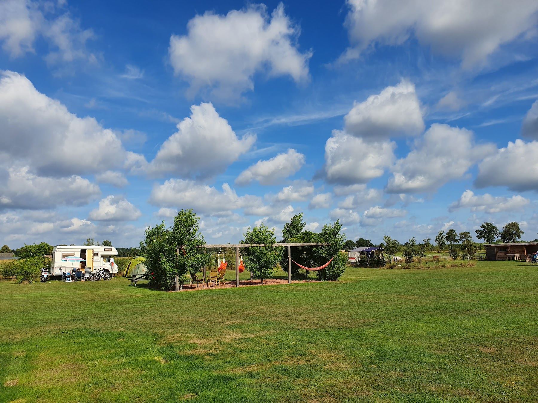 Zomer op het veld