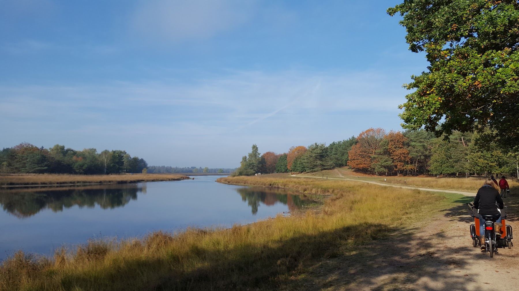 Fietser op een zandpad langs een ven