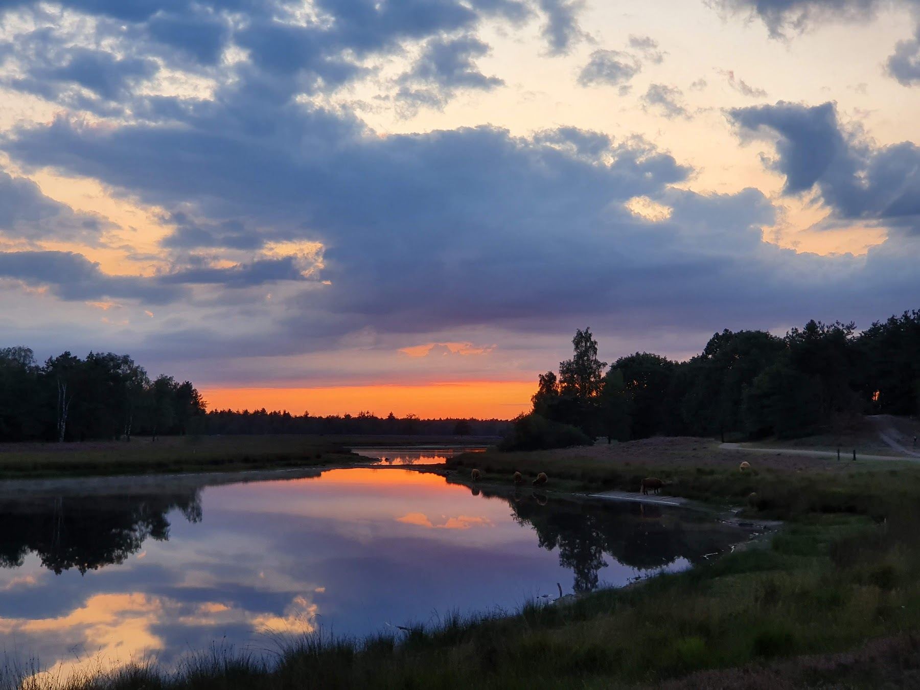 Zonsondergang boven het ven