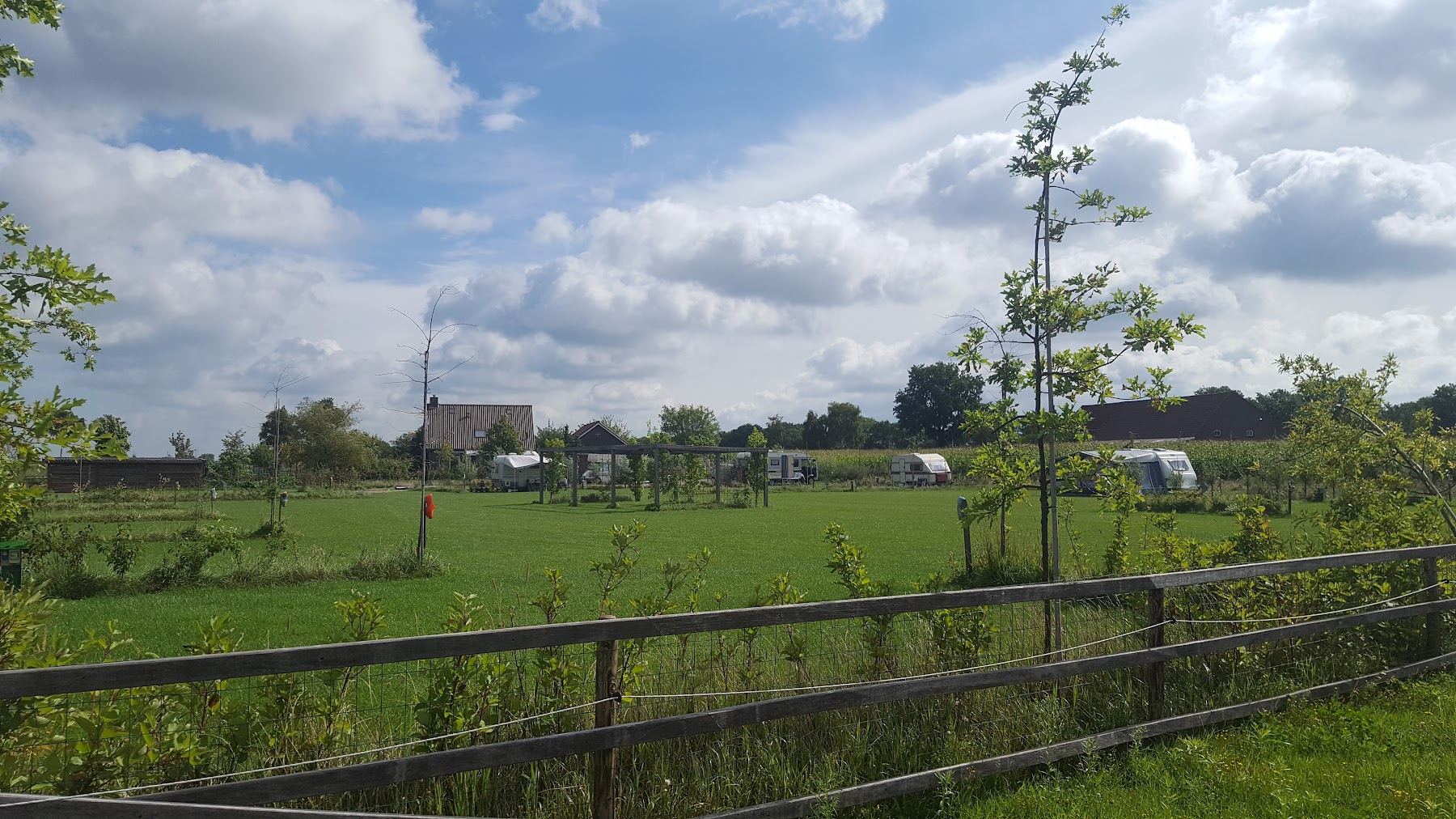Het weiland naast de camping