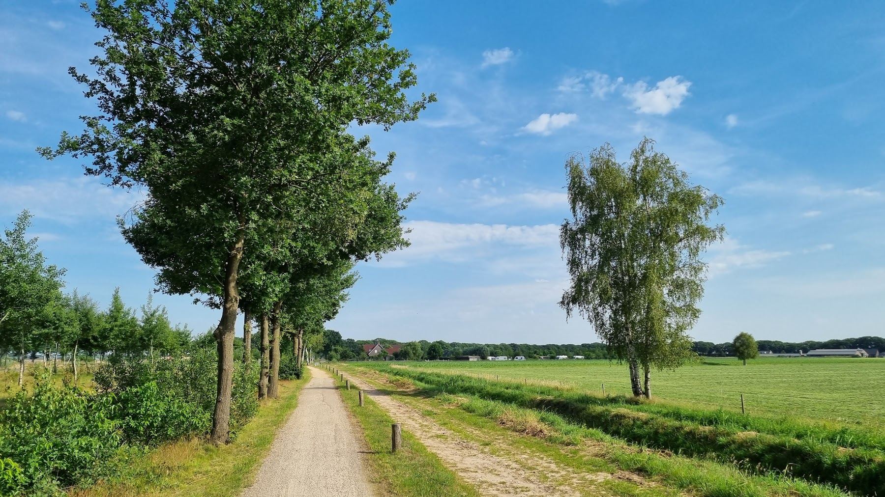 Zandpad langs de weilanden